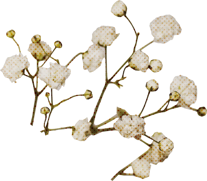 优雅复古花朵花卉植物字母装饰插画无缝背景PNG免抠手账设计素材【009】